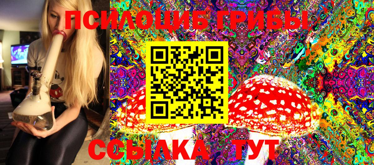 Галлюциногенные грибы мицелий Кудымкар
