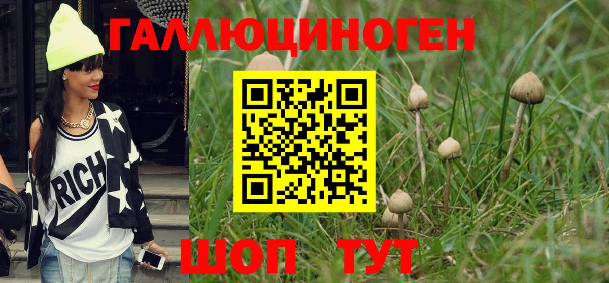 Кудымкар  Псилоцибиновые грибы Psilocybine cubensis  Вход с VPN 