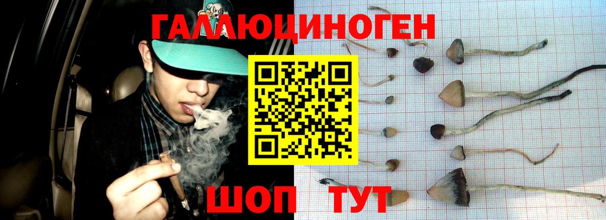 Галлюциногенные грибы GOLDEN TEACHER  Кудымкар 